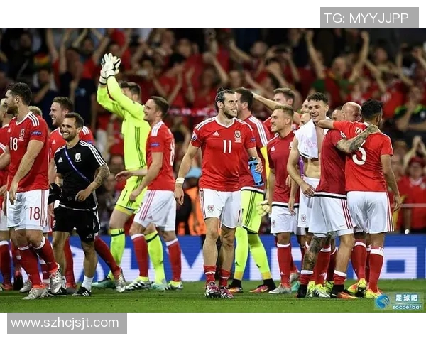 法国与威尔士全场比赛精彩回顾及精彩瞬间分析