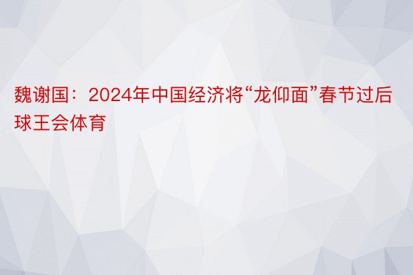 魏谢国：2024年中国经济将“龙仰面”春节过后球王会体育
